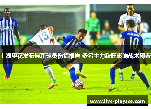 上海申花发布最新球员伤情报告 多名主力缺阵影响战术部署 上海申花发布最新球员伤情报告 多名主力缺阵影响战术部署