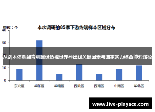 从战术体系到青训建设透视世界杯出线关键因素与国家实力综合博弈路径 从战术体系到青训建设透视世界杯出线关键因素与国家实力综合博弈路径