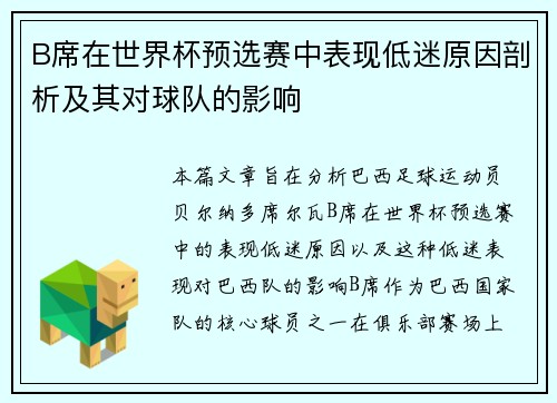 B席在世界杯预选赛中表现低迷原因剖析及其对球队的影响