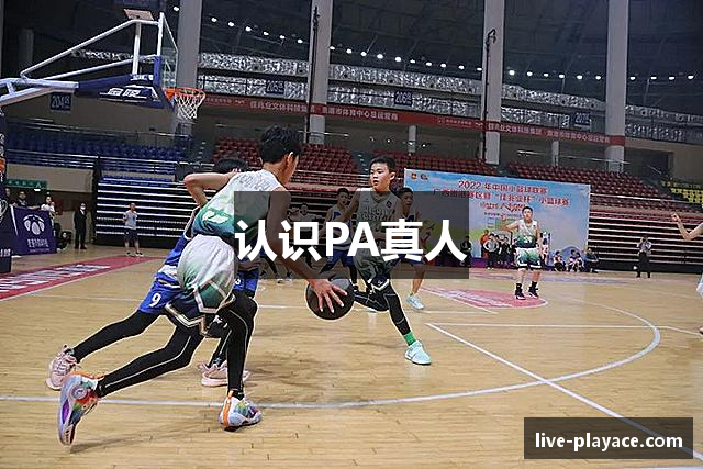 认识PA真人